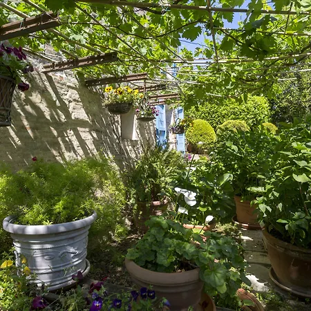 Il Villino & Ξενοδοχείο SantʼArcangelo di Romagna