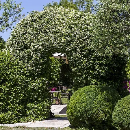 Ξενοδοχείο Il Villino & 4*